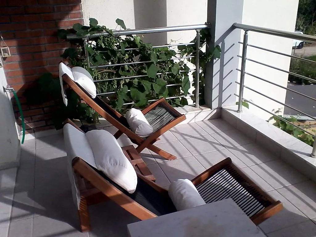 Apartment Michail Nikiti  0*, Nikiti (Sithonia) Greece